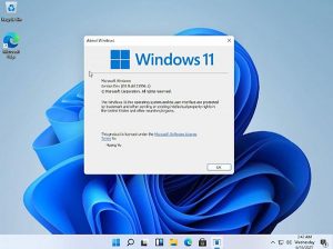 Yêu cầu cấu hình Windows 11 tối thiểu